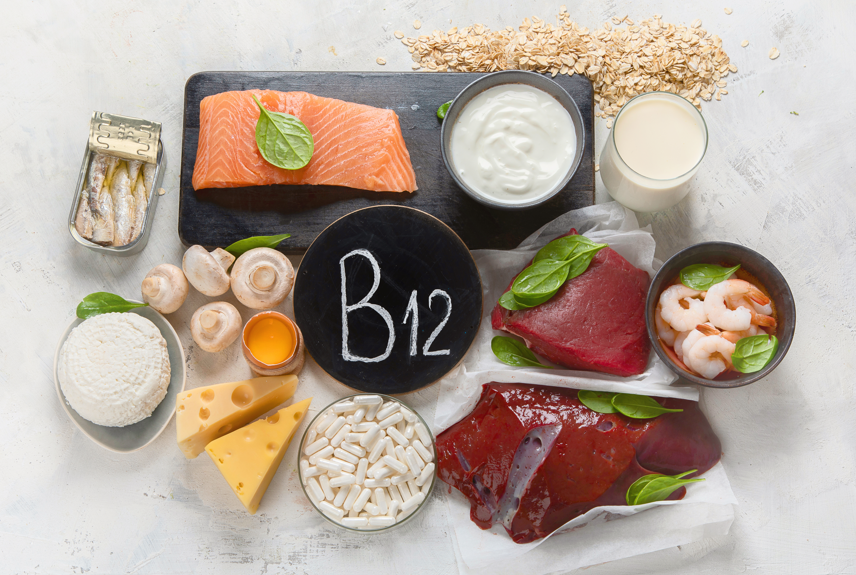 Vitamina B12: confira a importância do nutriente para o organismo