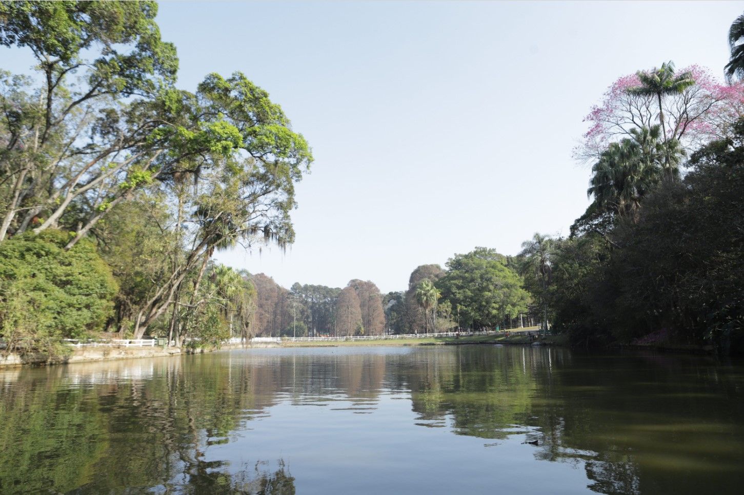 Urbia anuncia agenda semanal com programação turística e de lazer no Horto Florestal e Cantareira