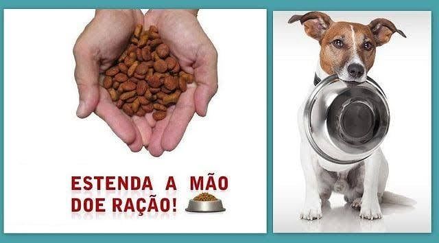 Shopping Metrô Tucuruvi incentiva os cuidados com os pets com a Campanha Doação de Ração