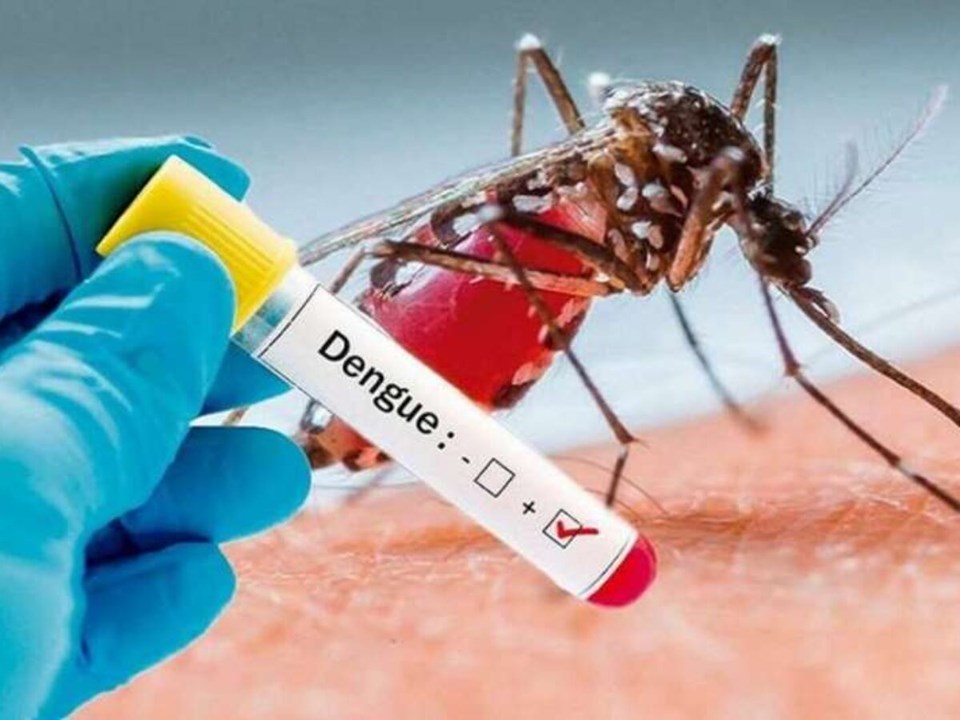 10 fatos sobre a dengue que você precisa saber
