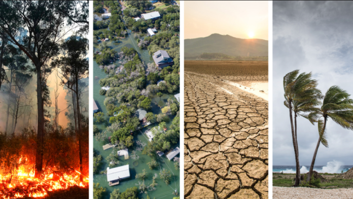 O Brasil na crise do clima