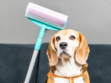 Noviça lança Mop Rolo Adesivo Lavável, ideal para retirar os pelos dos pets