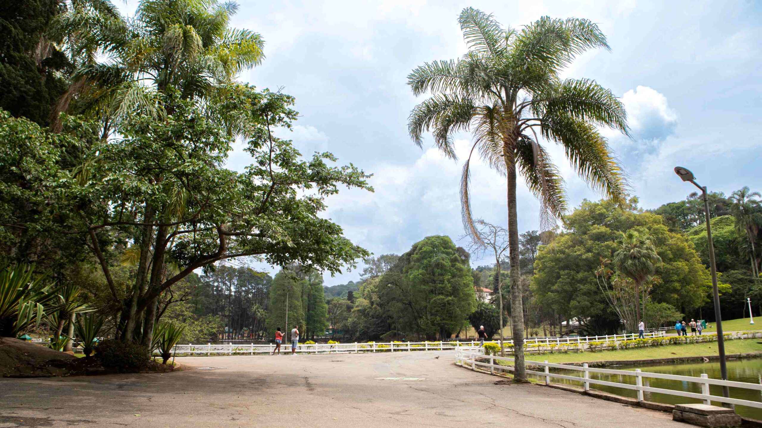  Horto Florestal recebe o Festival Tropical, um evento de empreendedorismo feminino