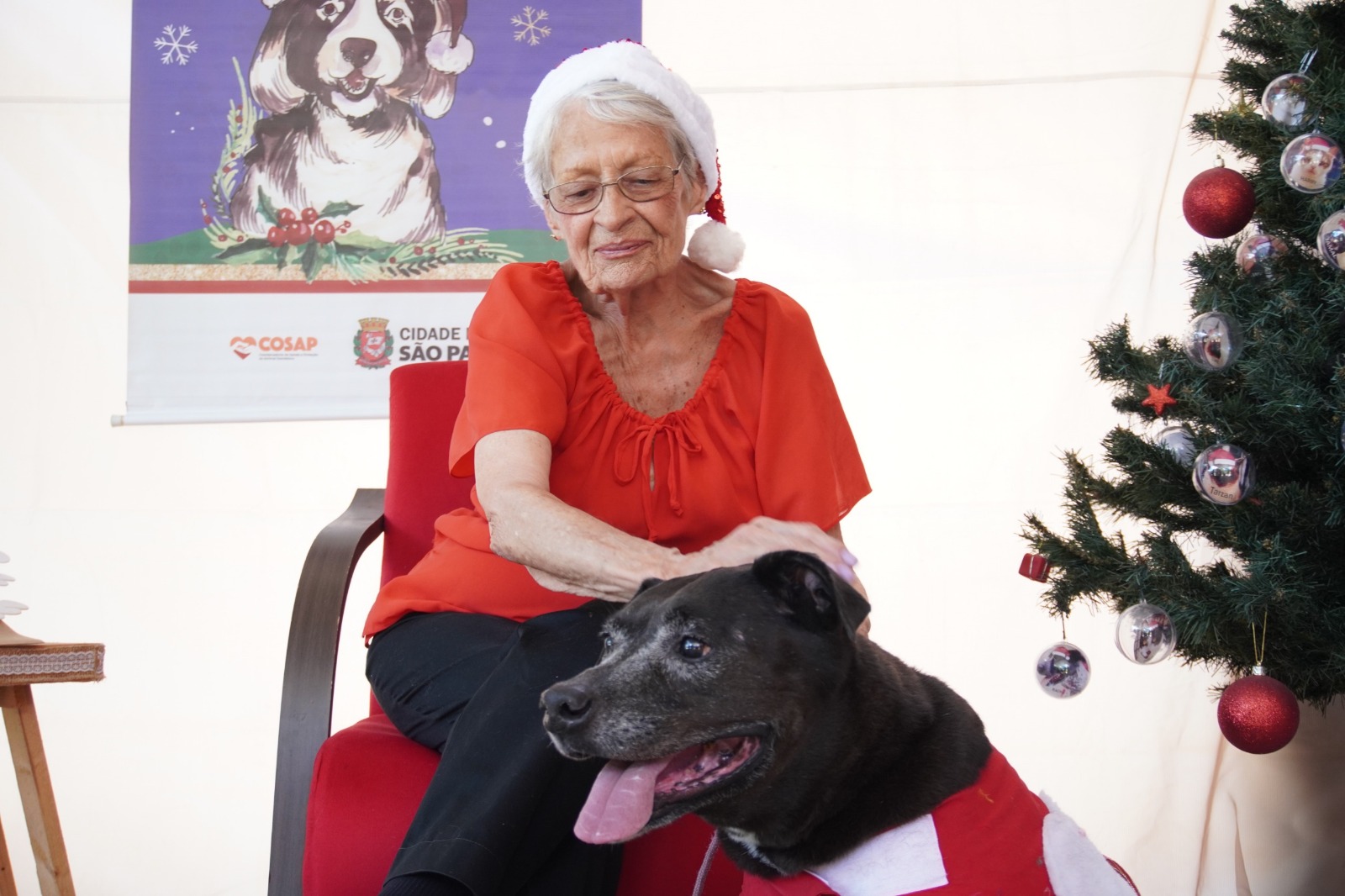 Campanha “Adote Um Bom Velhinho” da Cosap Santana incentiva adoção de pets idosos