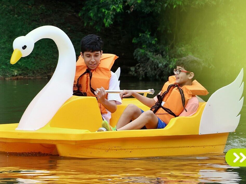 Pedalinho Lagoando: Horto Florestal traz de volta atração que é um símbolo da história do parque e dos visitantes