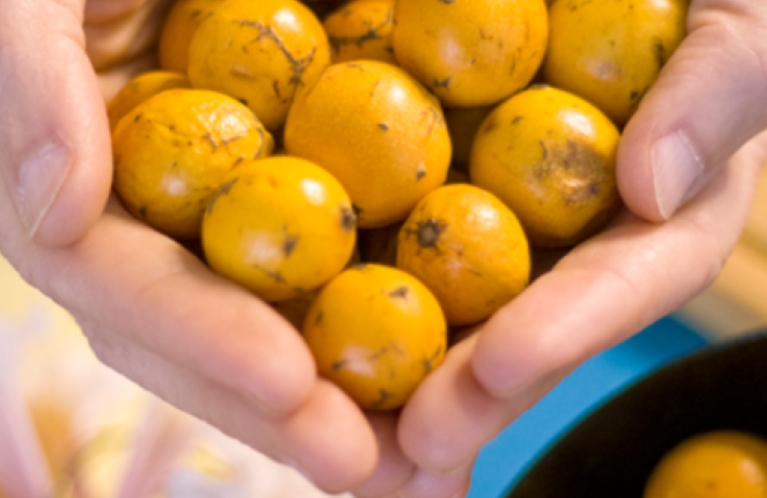 Sabores da Paulistânia são celebrados em vivência gastronômica no Sesc Santana