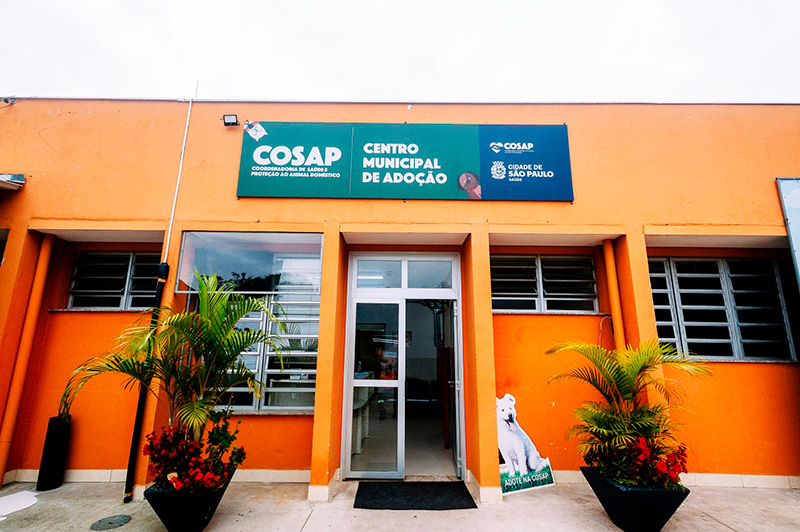 Prefeitura realiza evento de adoção Liga das Patinhas neste sábado na Cosap, em Santana