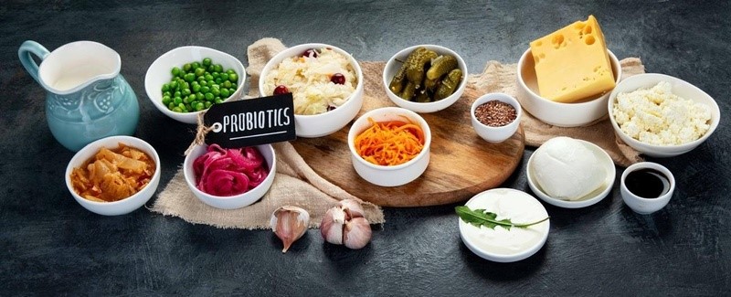 Probióticos: aliados do intestino, da imunidade e até do humor — mas sem milagres