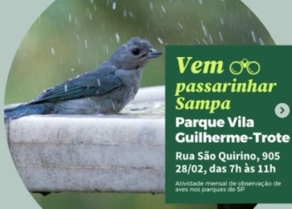 Projeto Vem Passarinhar Sampa 2026 no Parque do Trote