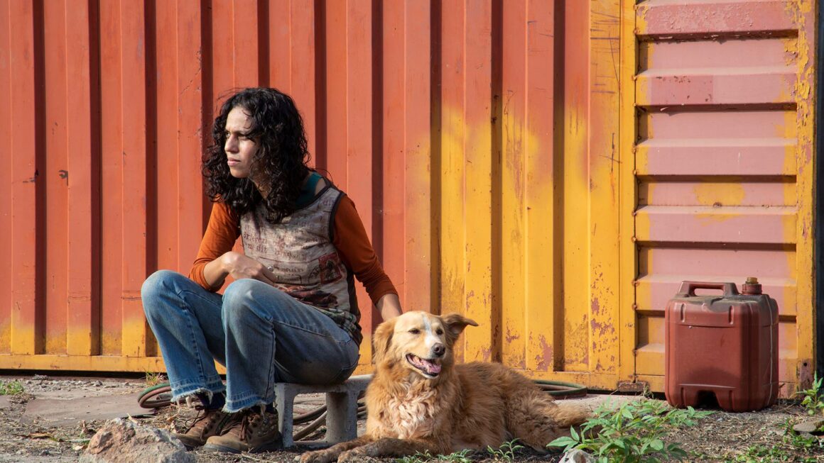 Sesc Santana exibe filme gratuito “Suçuarana” nesta terça-feira