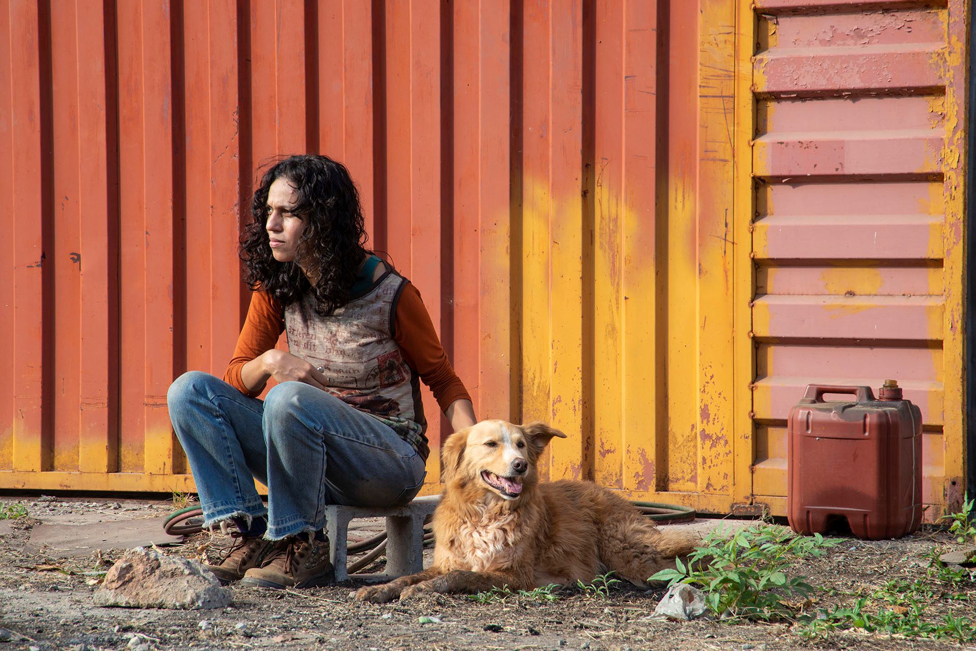 Exibição gratuita do filme Suçuarana no Sesc Santana