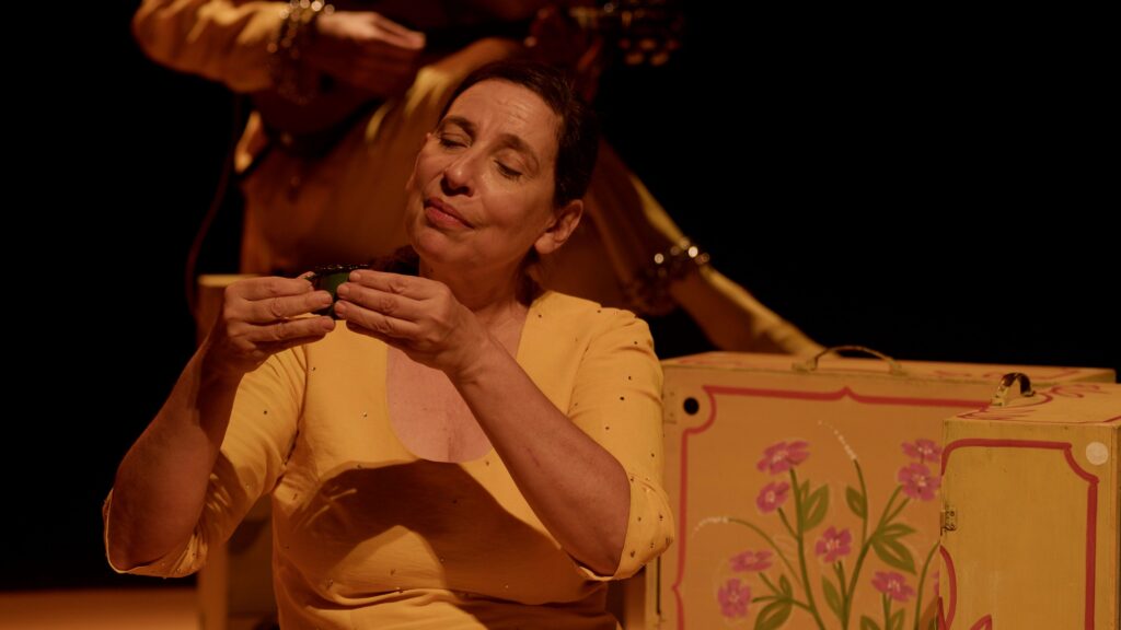 Espetáculo infantil A Casa que Espera em cartaz no Sesc Santana em São Paulo