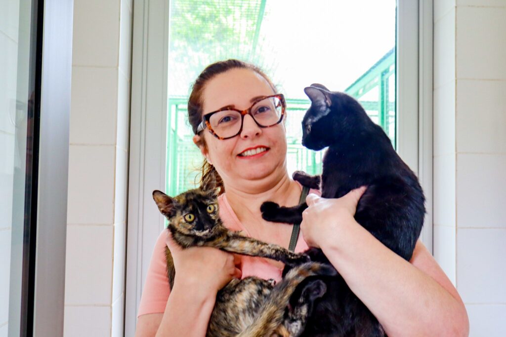 Evento de adoção de gatos na Cosap em Santana Zona Norte de São Paulo