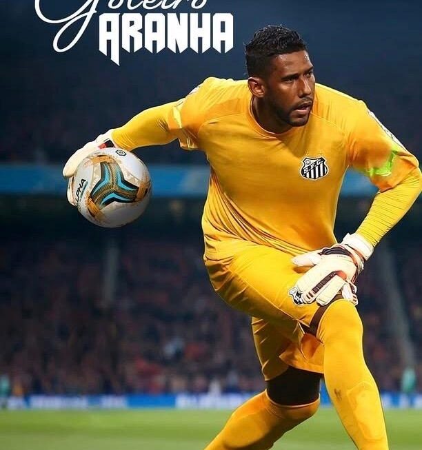 Aranha Sesc Santana na zona norte