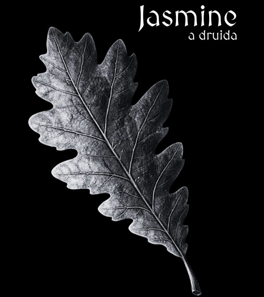 Livro “Jasmine” chega a São Paulo com fantasia sombria e protagonista marcante