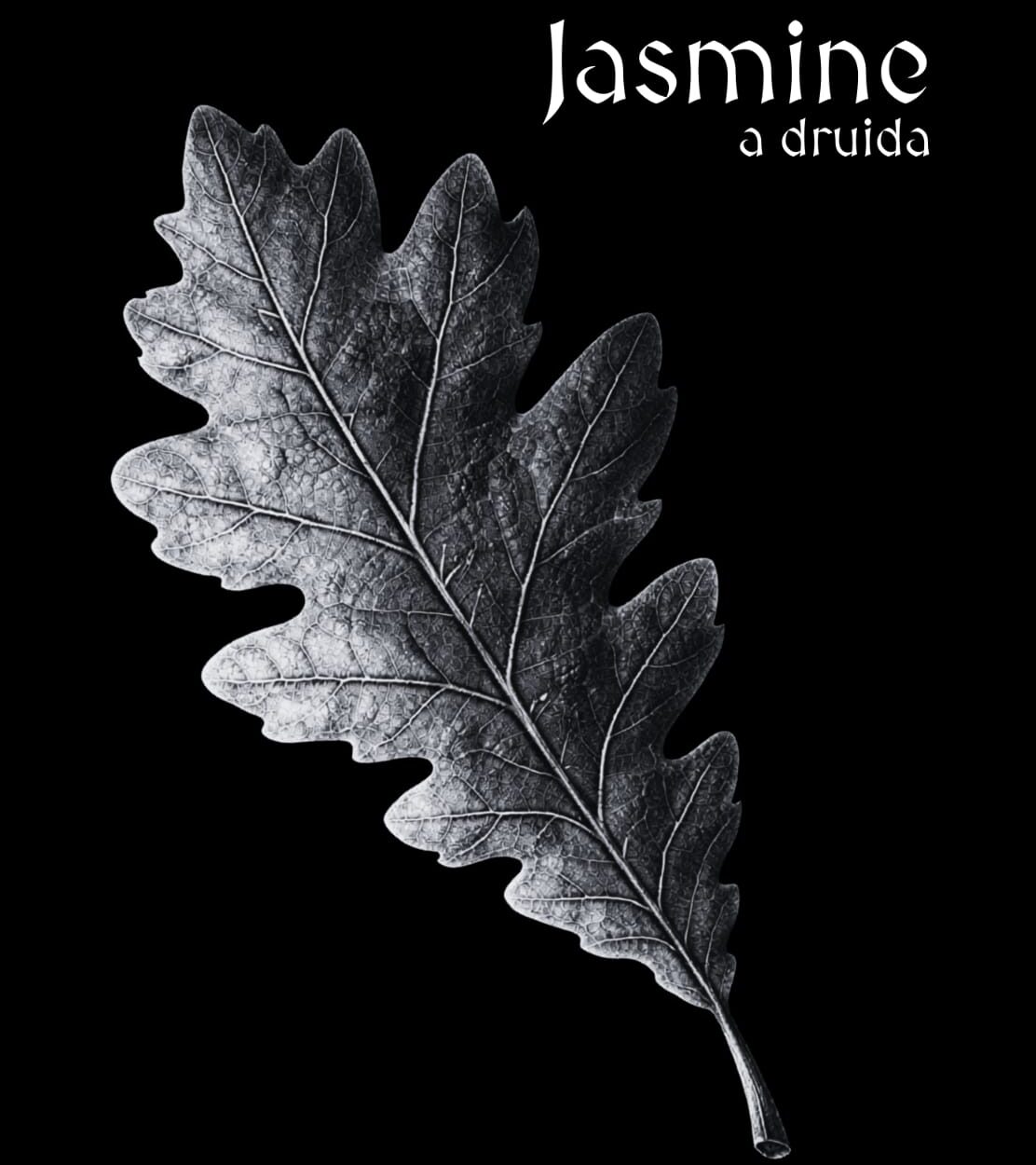 Livro Jasmine de Roberto T. G. Rodrigues lançado em São Paulo