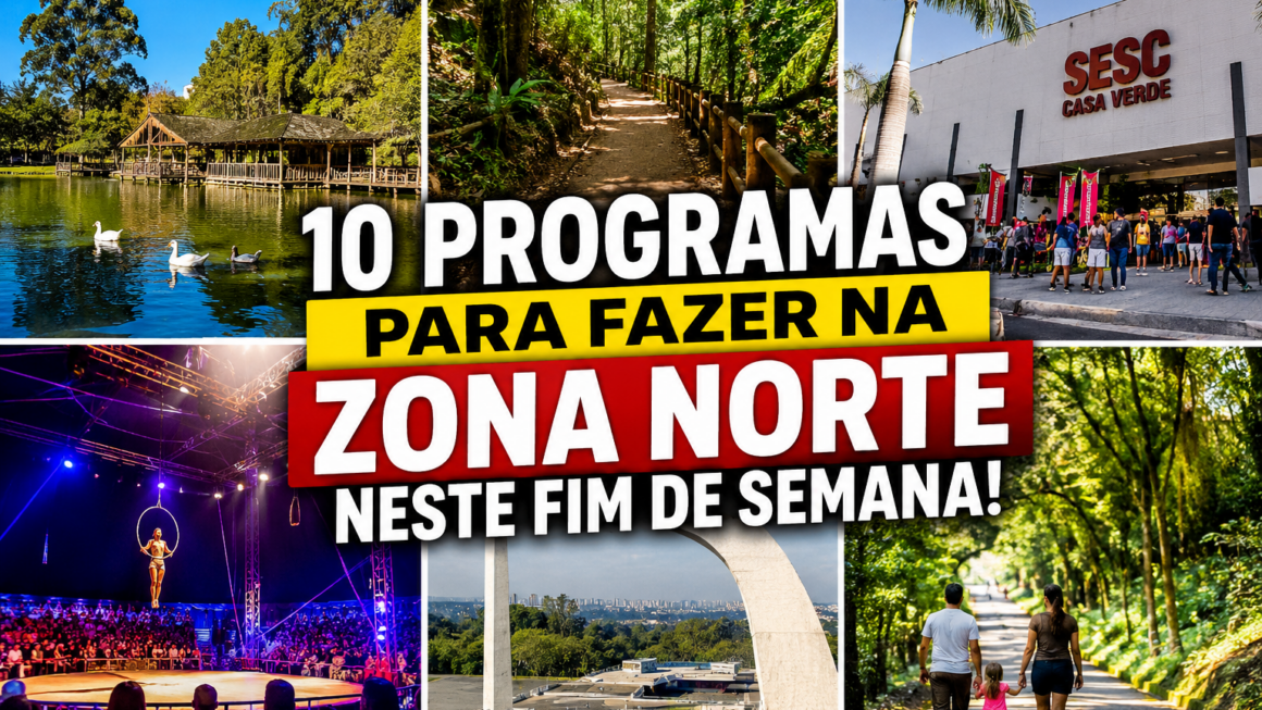 Programas Para A Zona Norte
