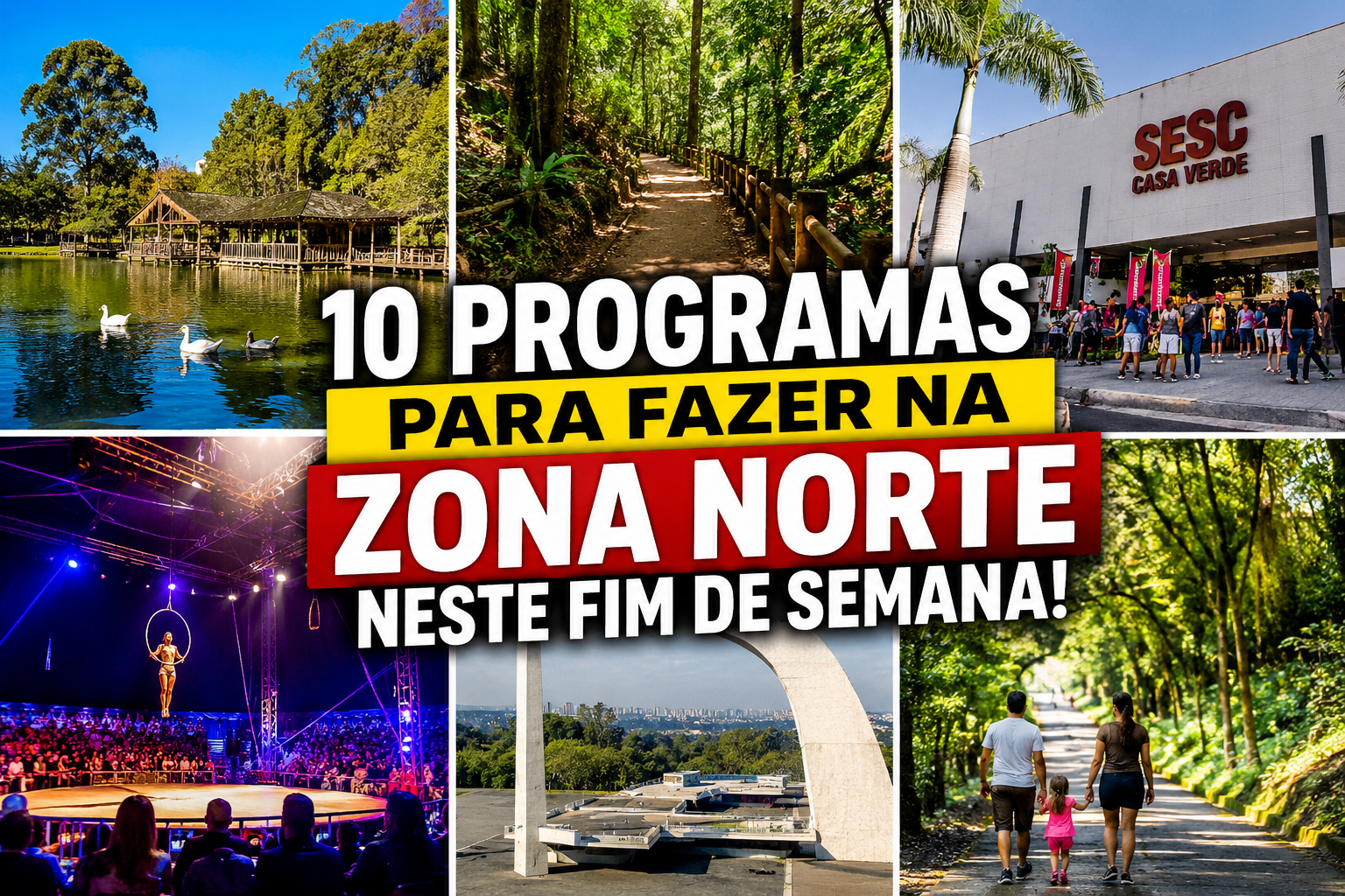 Programas Para A Zona Norte