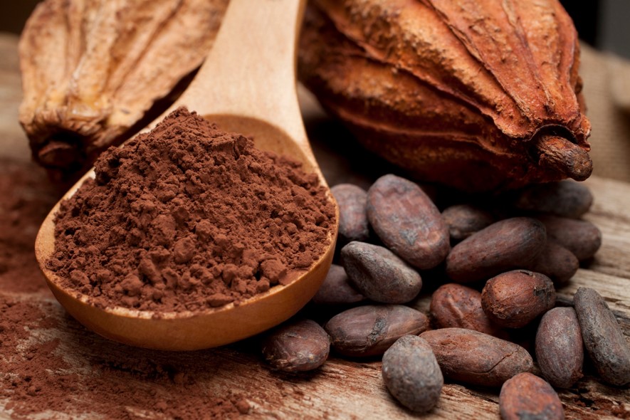 Dia Mundial do Chocolate: mitos e verdades que a ciência já comprovou sobre o doce favorito dos brasileiros
