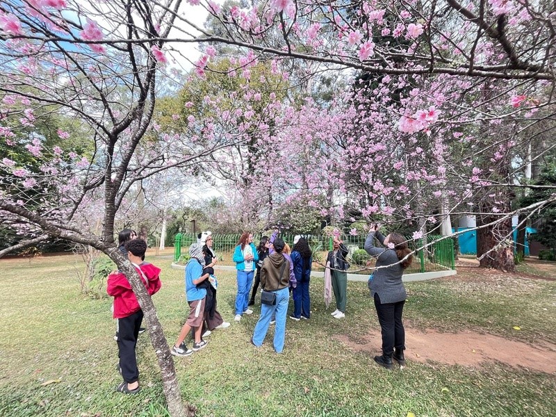 Famílias participam de atividades gratuitas nos parques da Zona Norte durante as férias de julho.