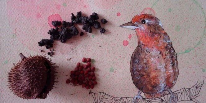Sesc Santana oferece oficina gratuita de pintura com pigmentos naturais nas férias