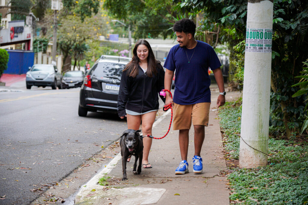 Cosap Santana promove evento de adoção com cães e gatos em busca de um lar