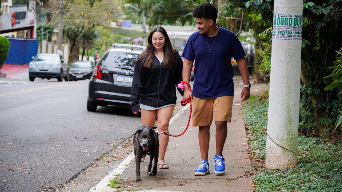 Cosap Santana promove evento de adoção com cães e gatos em busca de um lar