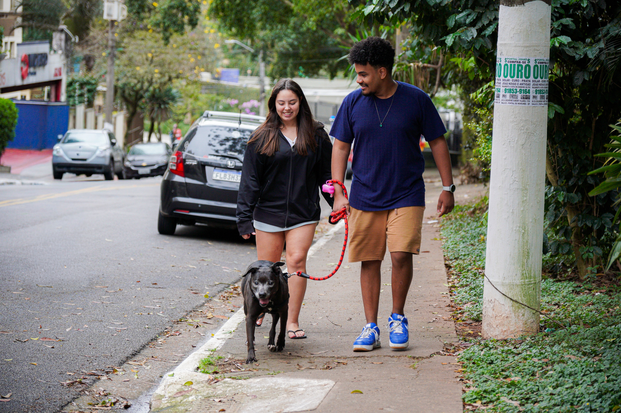 Evento de adoção da Cosap Santana reúne cães e gatos em busca de um novo lar