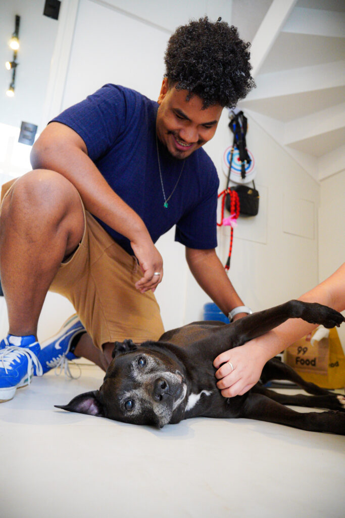 Evento de adoção da Cosap Santana reúne cães e gatos em busca de um novo lar