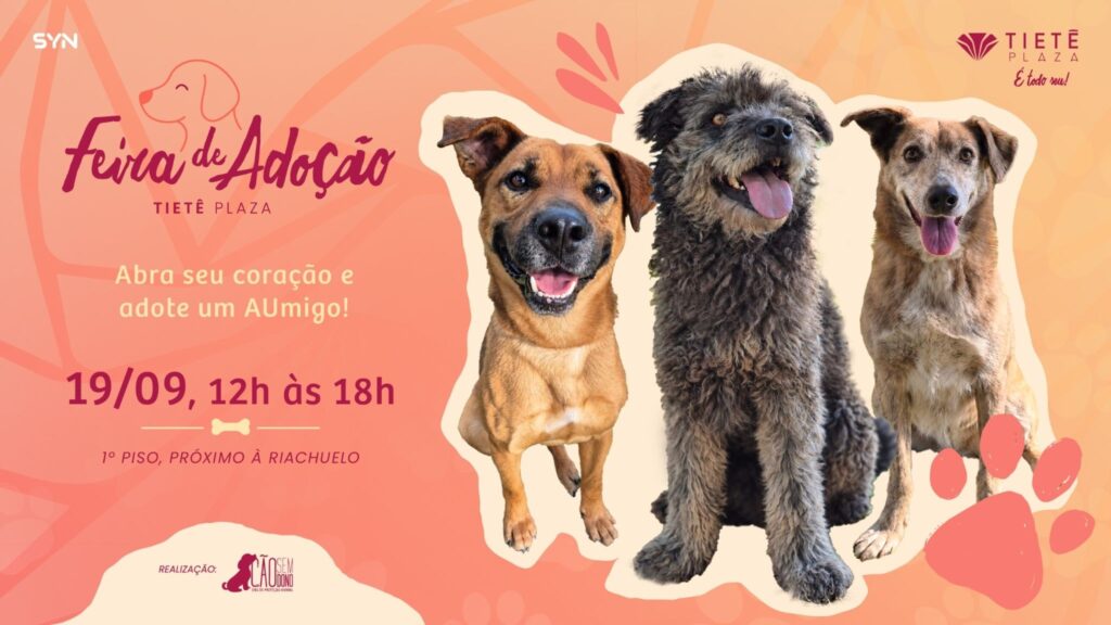 Feira de adoção pet reúne cães no Tietê Plaza, na Zona Norte de São Paulo