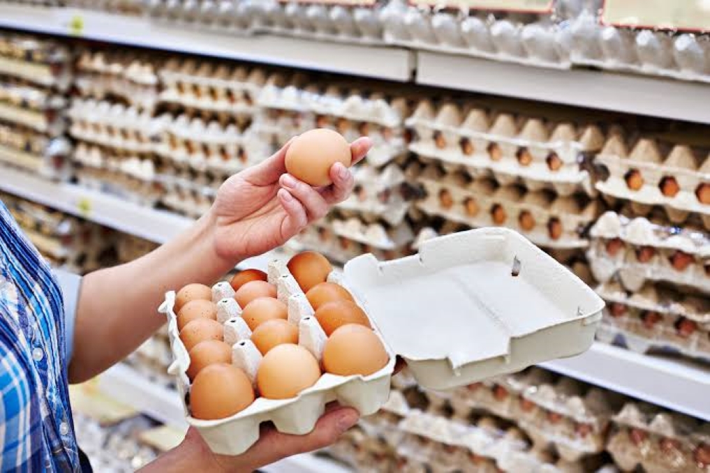 Ovos utilizados no preparo de refeições, alimento fonte de proteínas e outros nutrientes.