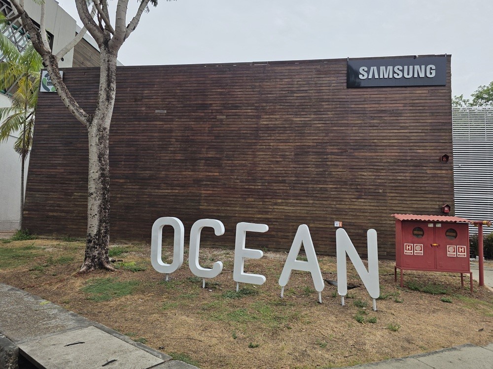 Samsung Ocean oferece cursos gratuitos de IA, programação e tecnologia